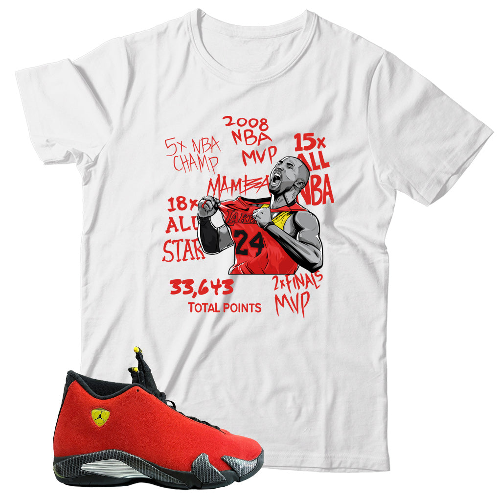 Jordan 14 Ferrari shirt