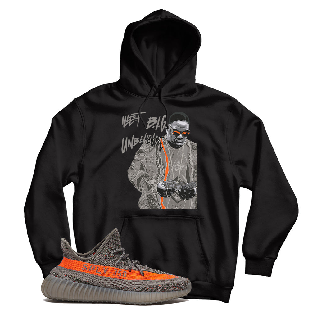 Beluga 350 Hoodie