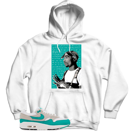 Air Max 1 Clear Jade hoodie