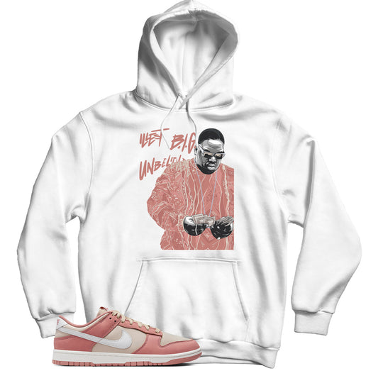 Dunk Low Red Stardust hoodie