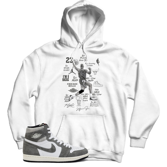 Jordan Washed Heritage hoodie