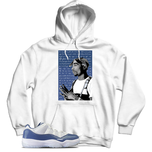 Jordan 11 Low Diffused Blue hoodie
