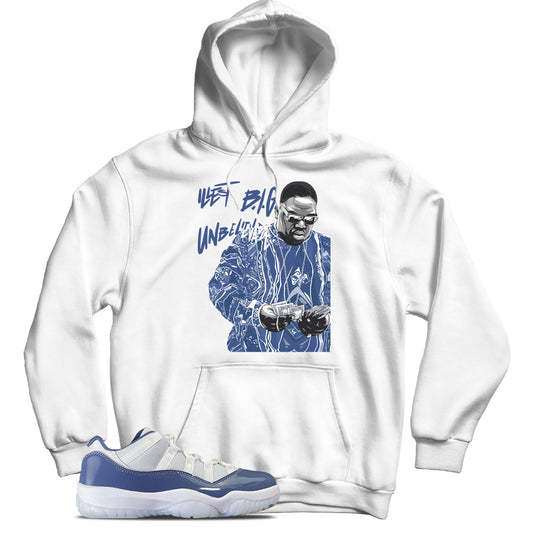 Jordan 11 Low Diffused Blue hoodie