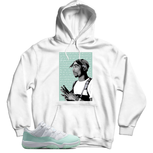 Jordan 11 Low Igloo hoodie