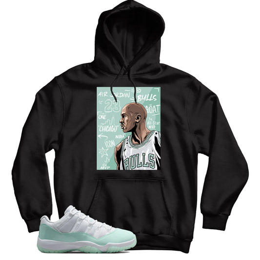 Jordan 11 Low Igloo hoodie