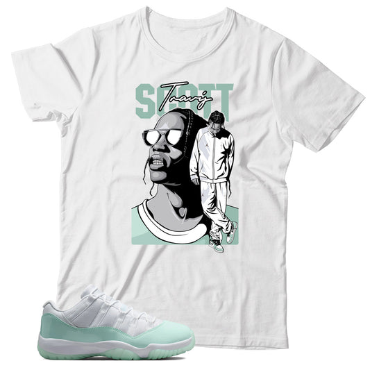 Jordan 11 Low Igloo shirt