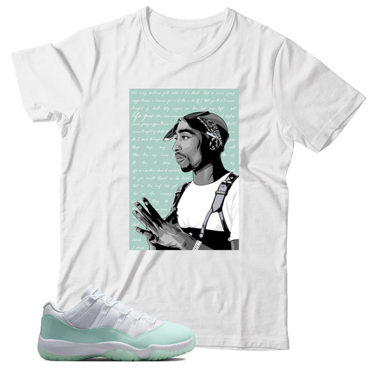 Jordan 11 Low Igloo shirt