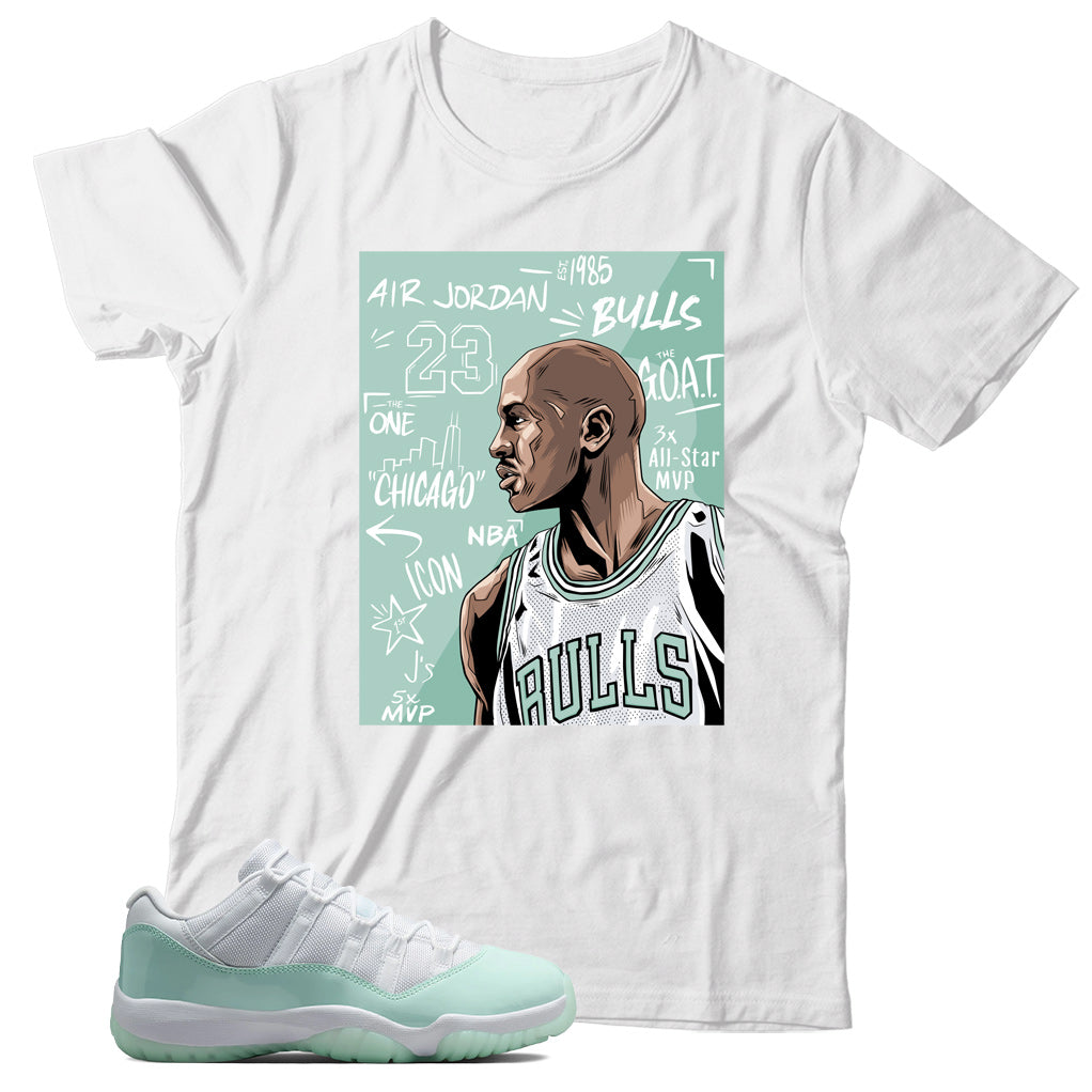 Jordan 11 Low Igloo shirt