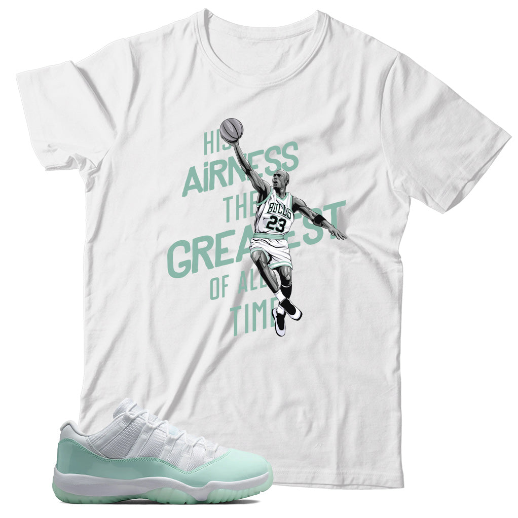 Jordan 11 Low Igloo shirt
