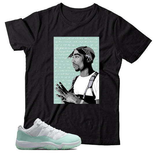 Jordan 11 Low Igloo shirt