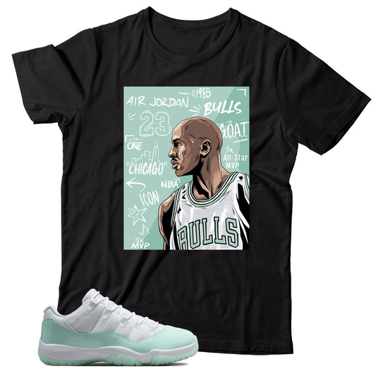 Jordan 11 Low Igloo shirt