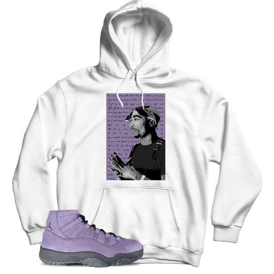 Jordan 11 Mojave hoodie
