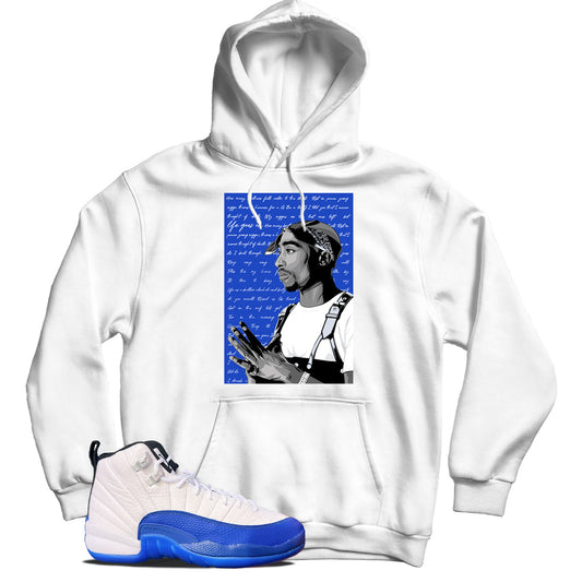 Jordan 12 Blueberry hoodie