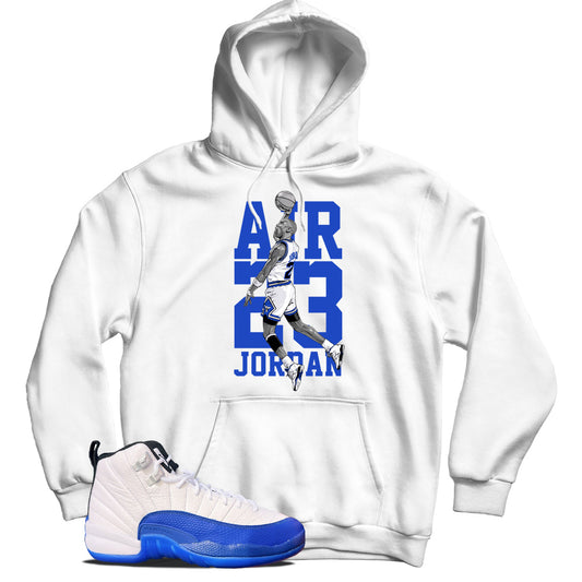Jordan 12 Blueberry hoodie