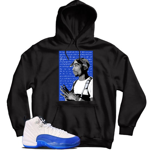Jordan 12 Blueberry hoodie