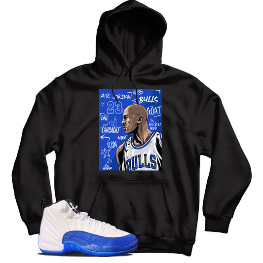 Jordan 12 Blueberry hoodie