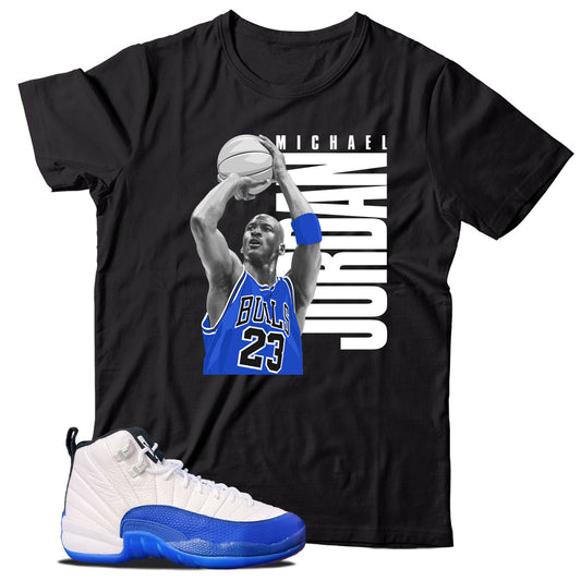 Jordan 12 Blueberry shirt