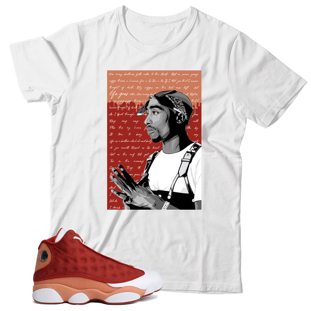 Jordan 13 Dune Red shirt