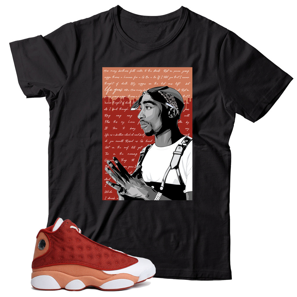 Jordan 13 Dune Red shirt