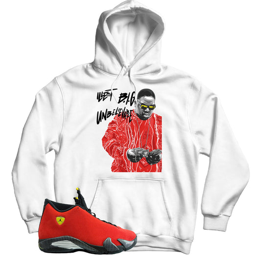 hoodie Match Jordan 14 Ferrari