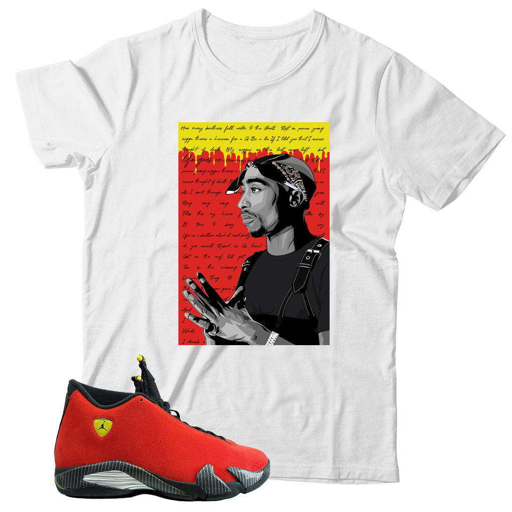 Jordan 14 Ferrari shirt