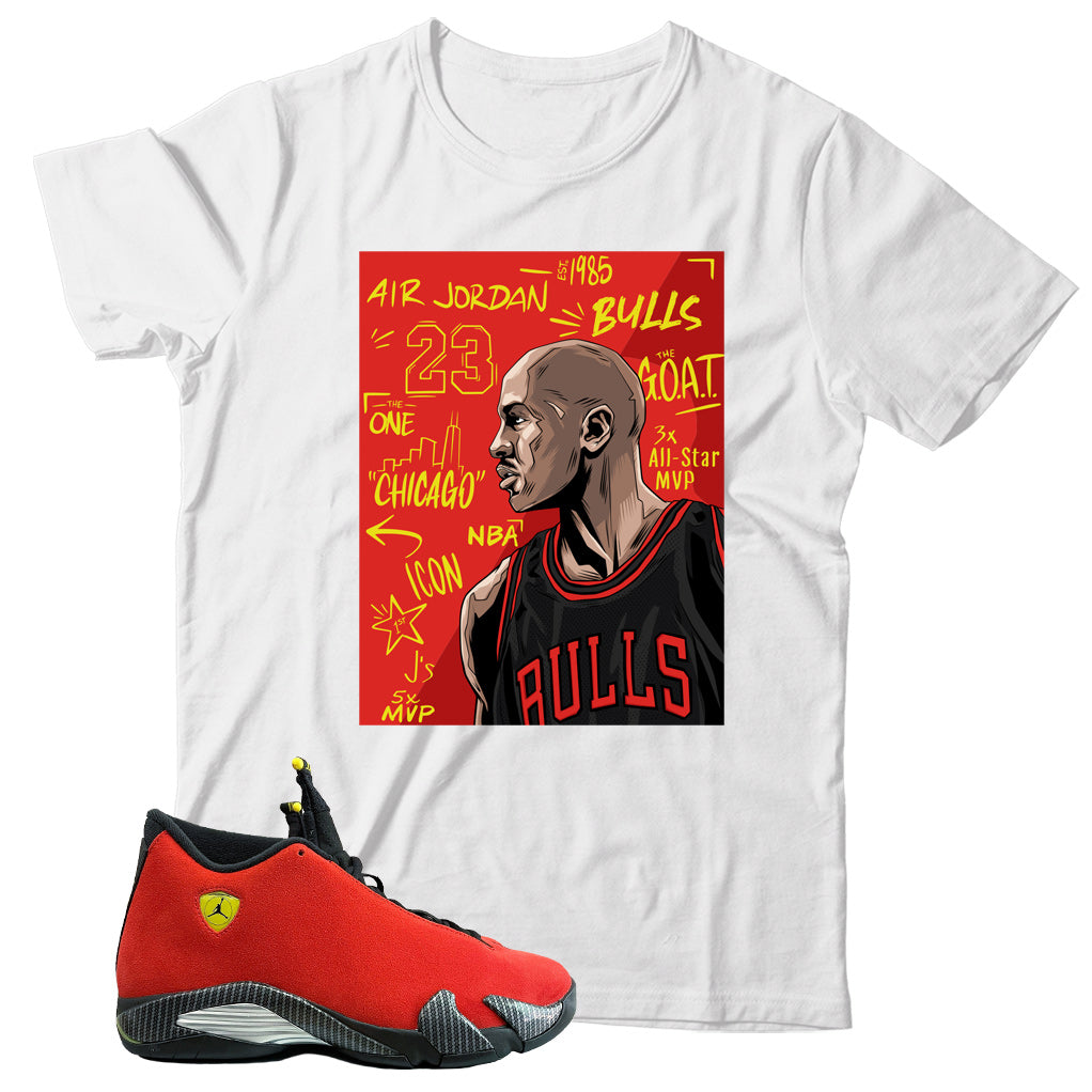 Jordan 14 Ferrari shirt