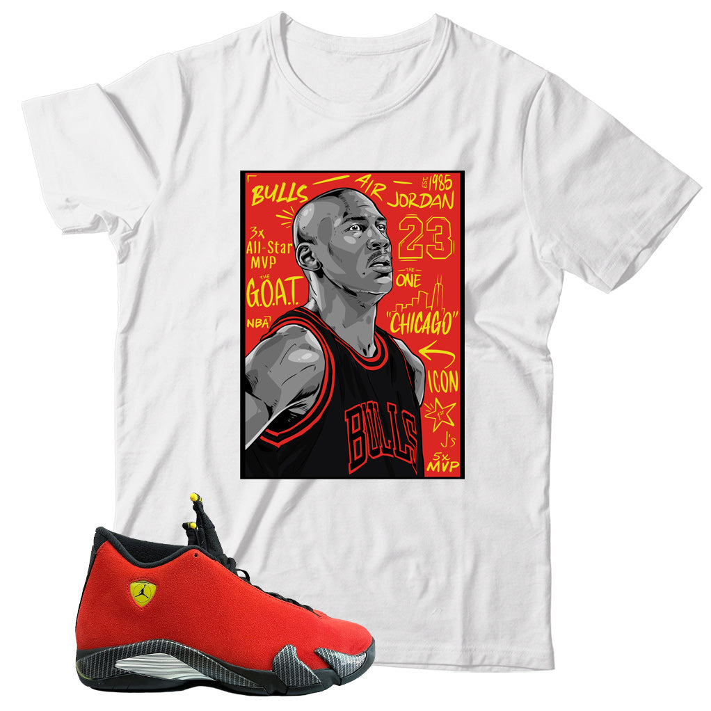 Jordan 14 Ferrari shirt