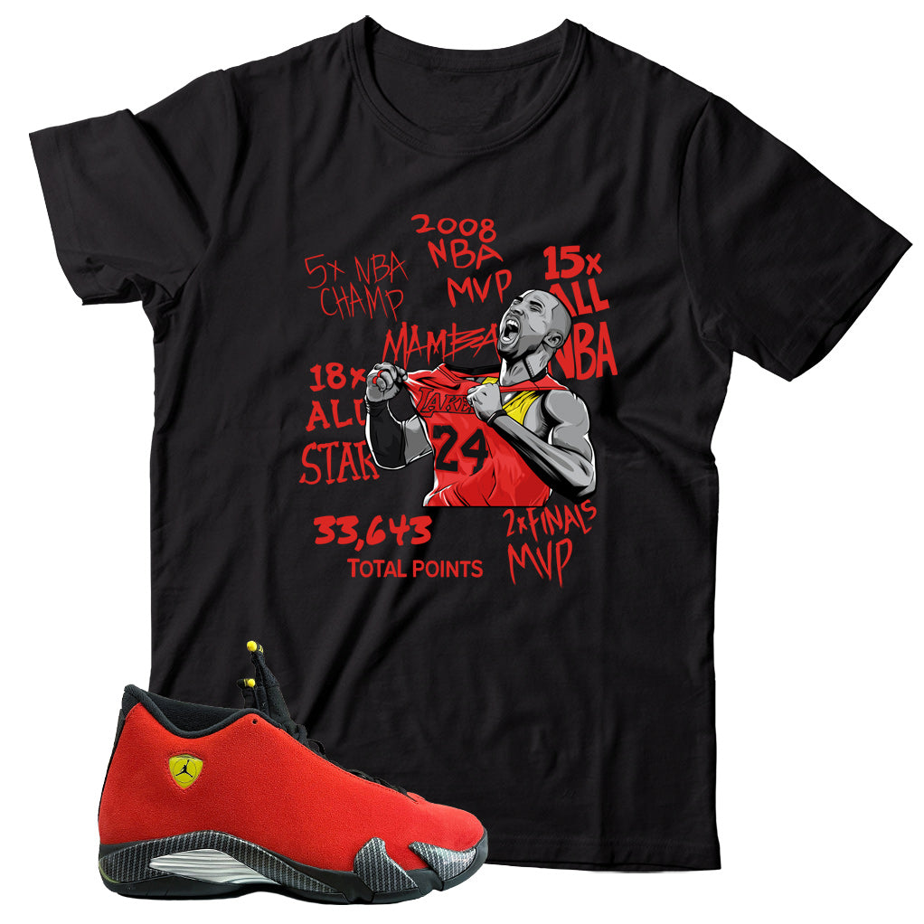 Jordan 14 Ferrari shirt