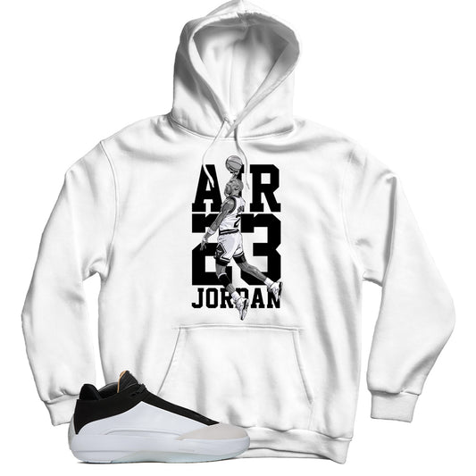 Jordan 40 The Classic hoodie