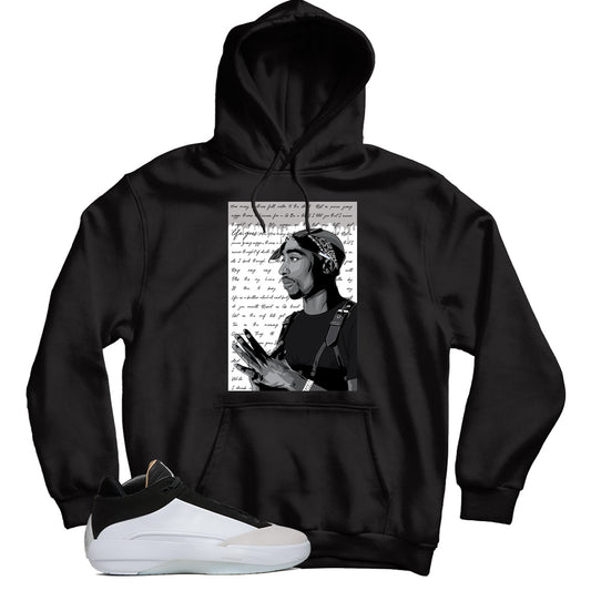 Jordan 40 The Classic hoodie
