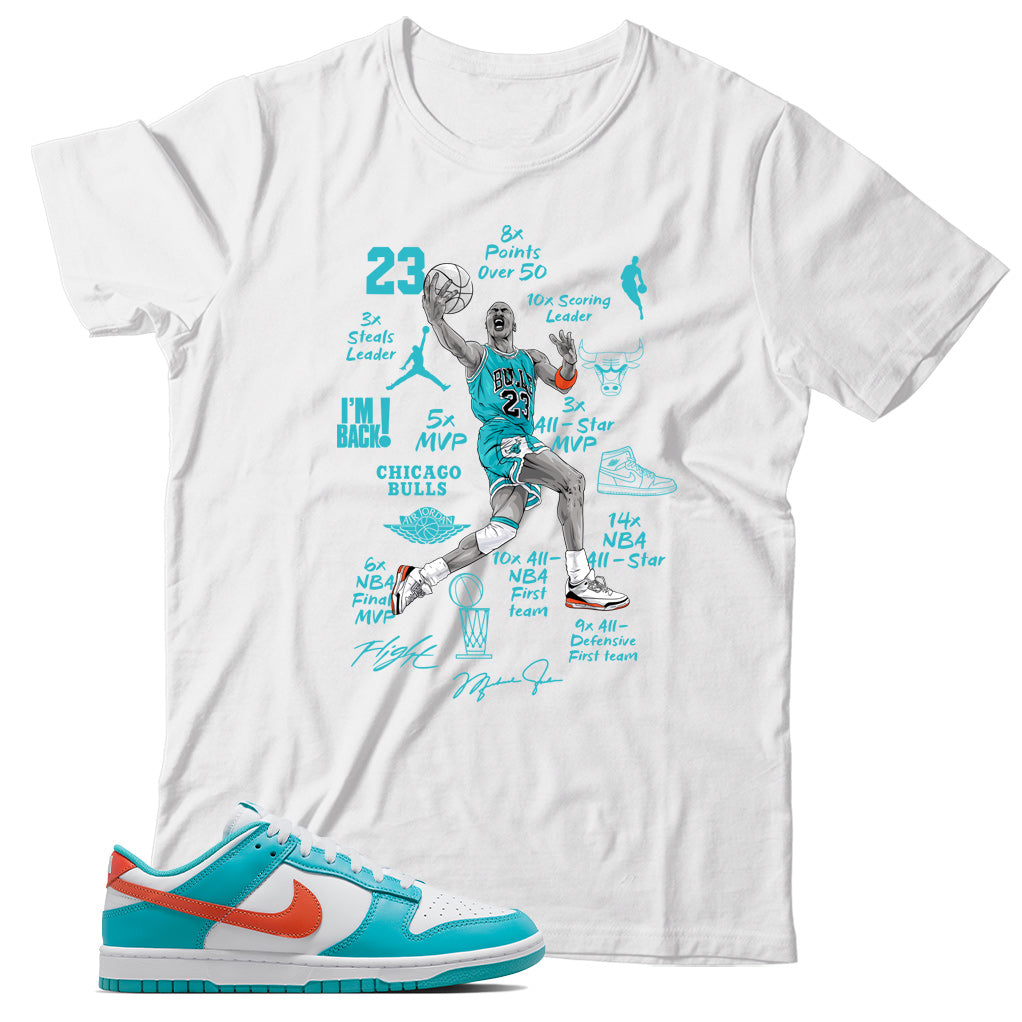 Miami Dolphins dunks shirt