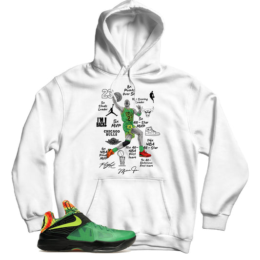 Zoom KD 4 Weatherman hoodie