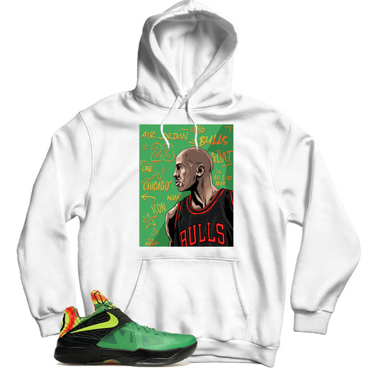 Nike Zoom KD 4 Weatherman hoodie