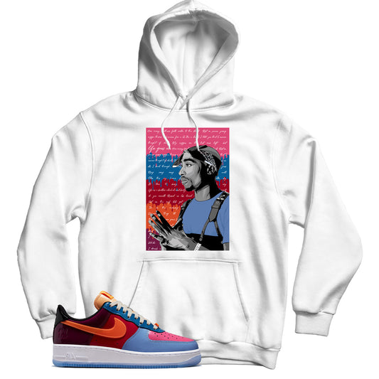 Air Force Multi-Patent hoodie