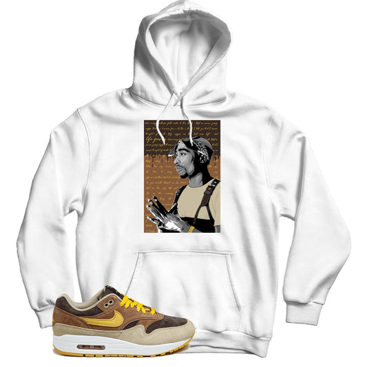 Air Max Duck Pecan hoodie