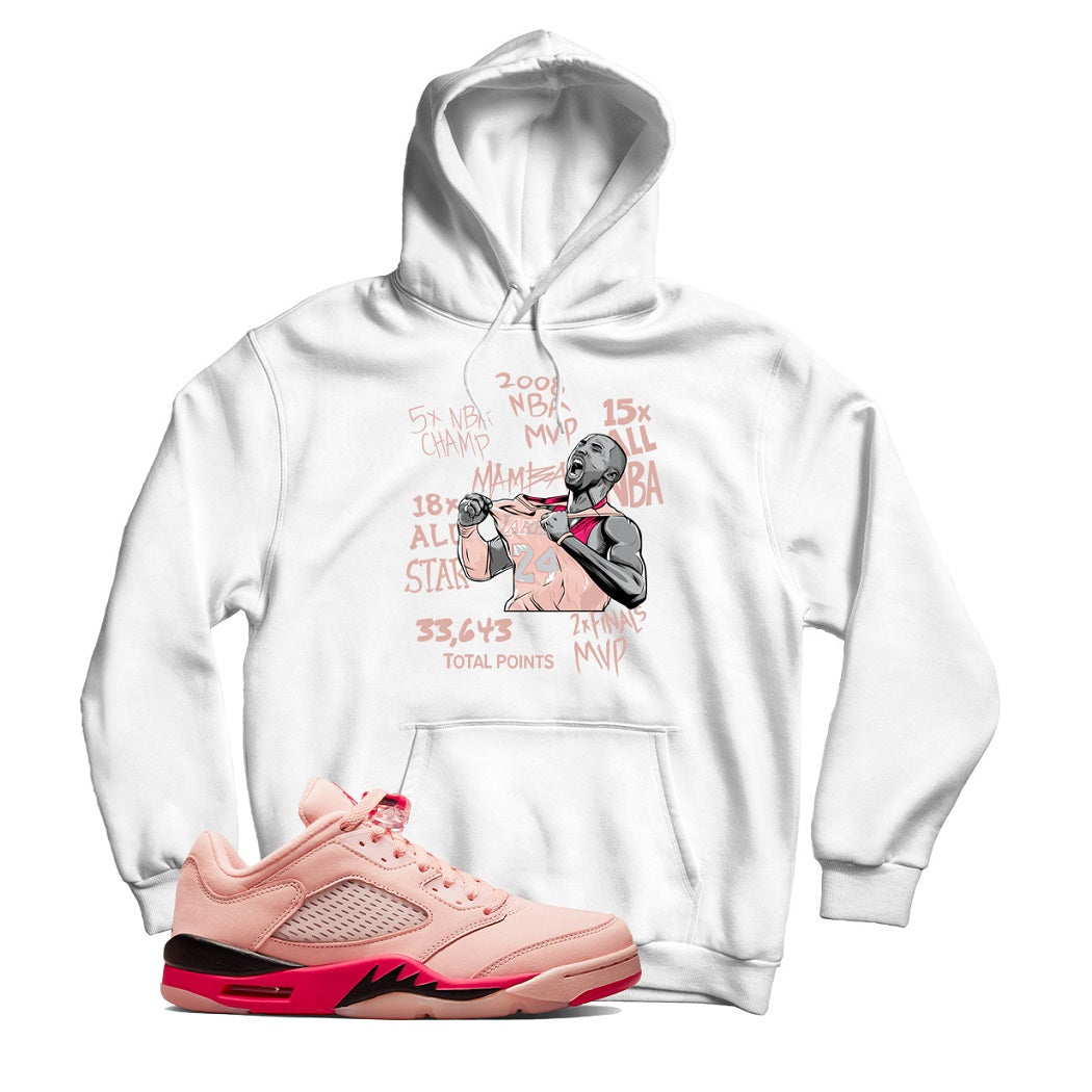 Jordan Low Arctic Pink hoodie