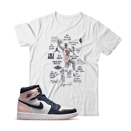 Jordan 1 Bubble Gum shirt