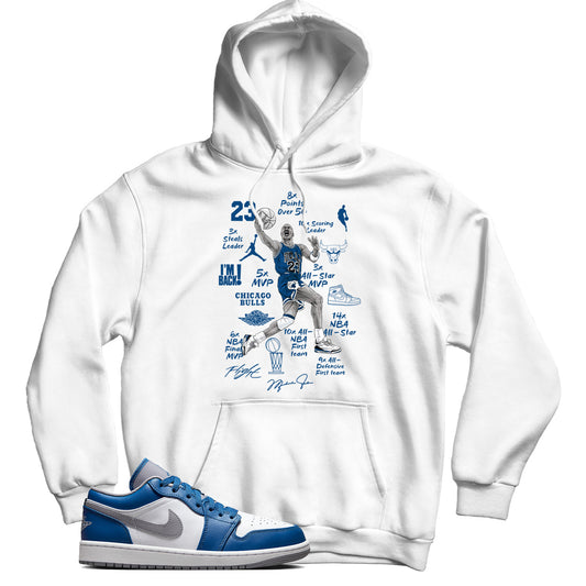 Jordan Low True Blue hoodie