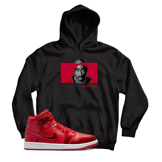 Jordan 1 Pomegranate hoodie