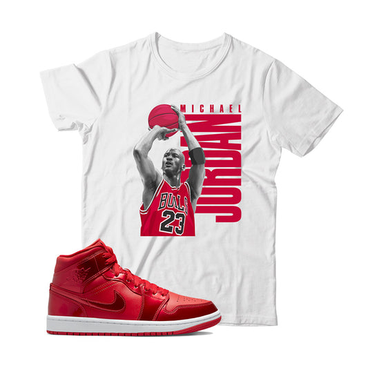 Jordan 1 Pomegranate shirt