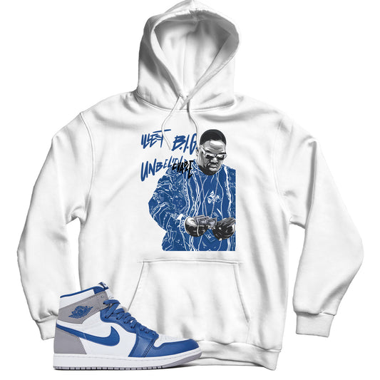 Jordan 1 True Blue hoodie