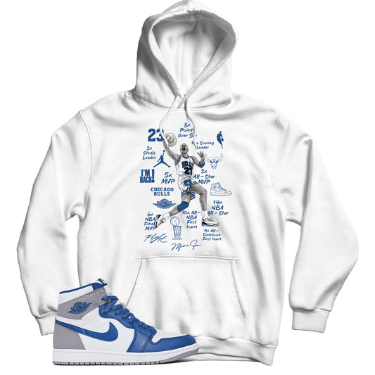 Jordan 1 True Blue hoodie