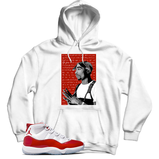 Jordan 11 Cherry hoodie