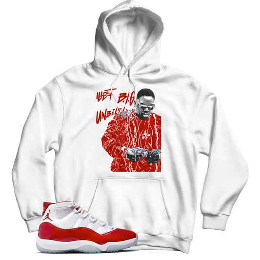 Jordan 11 Cherry hoodie