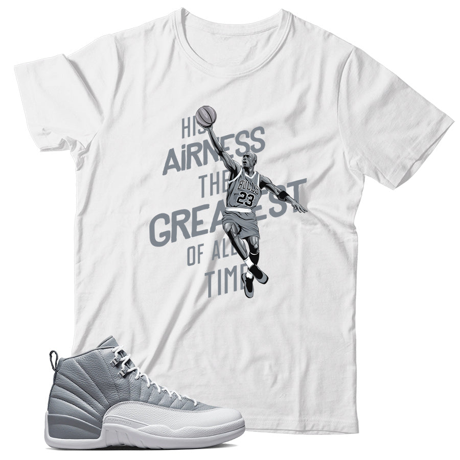 Jordan 12 Stealth Shirt