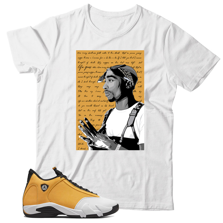 Jordan 14 Ginger shirt