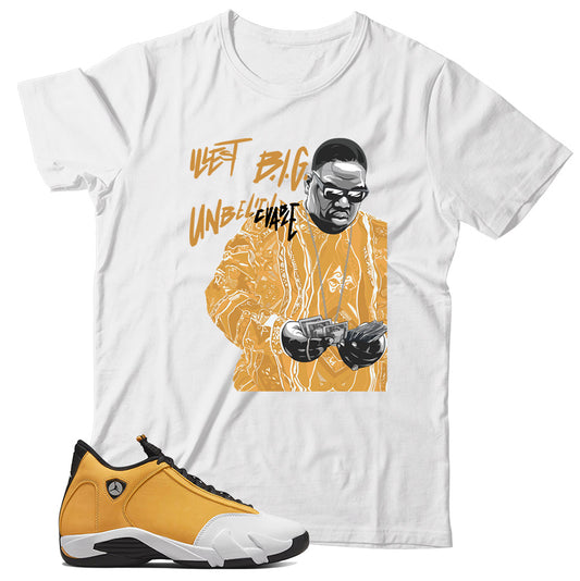 Jordan 14 Ginger shirt