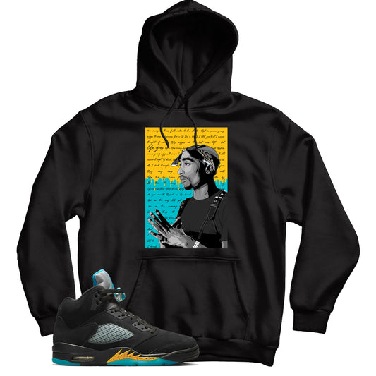 Jordan 5 Aqua hoodie