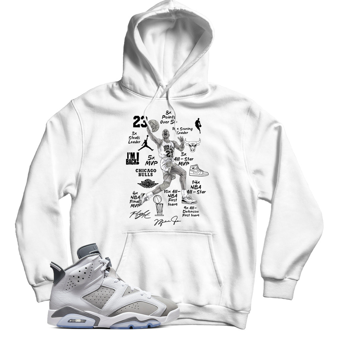 Air Jordan 6 Cool Grey hoodie