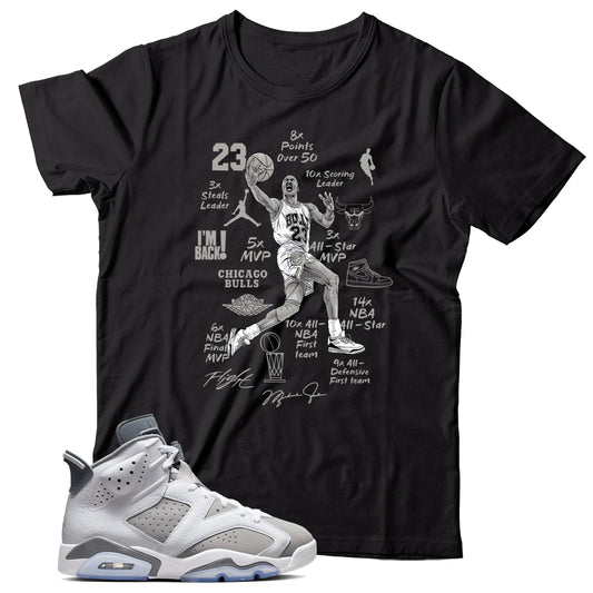 Air Jordan 6 Cool Grey shirt